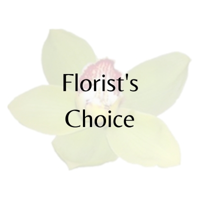 Florist Choice Modern Aqua