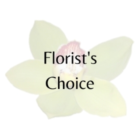 Florist Choice Aqua
